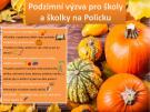Výzva